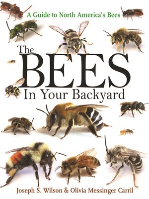 cover image of The Bees in Your Backyard